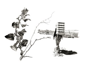 Dessin fusain/Le grand Mezzé/Mucem