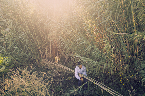 ©PhotoEve Campestrini